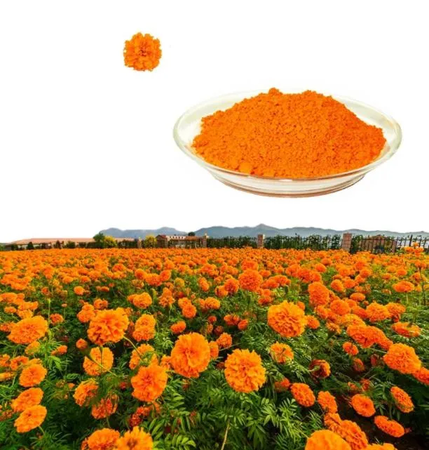 High Purity Eye Care Lutein Zeaxanthin Lutein Esters CAS 547-17-1 Helenien with China Factory Price